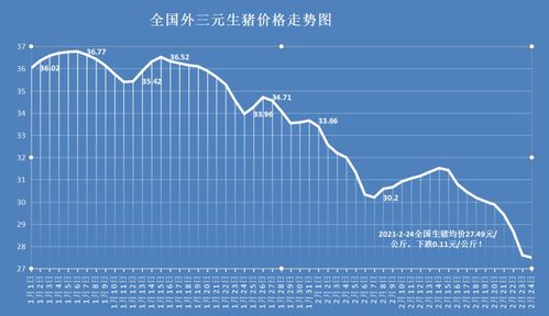 猪价大涨，畜牧ETF净值强势反弹，已完成4连阳走势