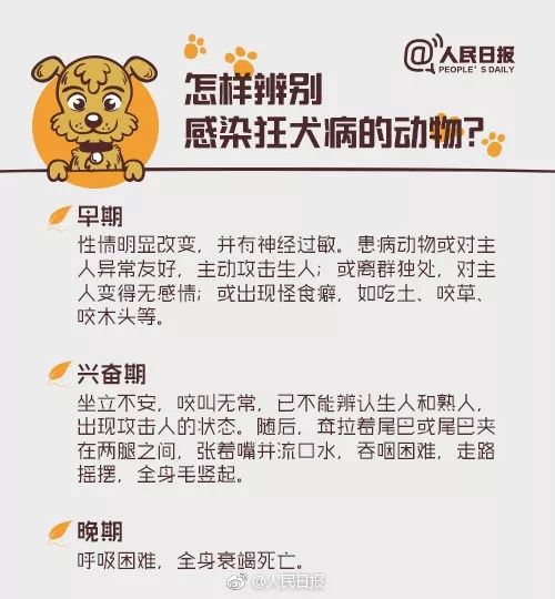 探索3岁男童接种狂犬病疫苗后发病离世的五大疑虑：专家解析