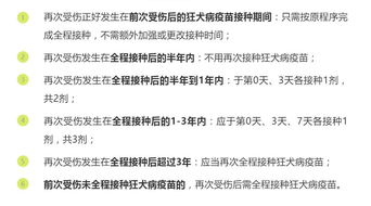 探索3岁男童接种狂犬病疫苗后发病离世的五大疑虑：专家解析