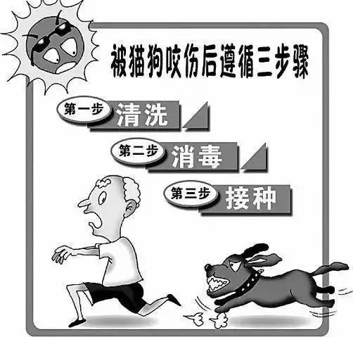 探索3岁男童接种狂犬病疫苗后发病离世的五大疑虑：专家解析