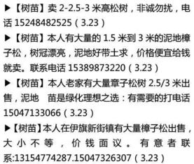 梦见小黑马：网络信息库中的寓意解析