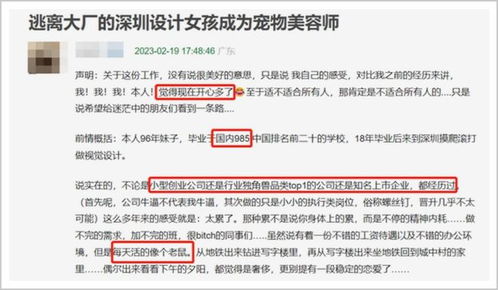 年轻人为何热衷于购买捏捏玩具有怎样的商业动因?去年玩具制造业注册量再创新高