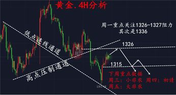 规划决定未来：把握黄金六年，提升孩子后劲，全面激发潜能