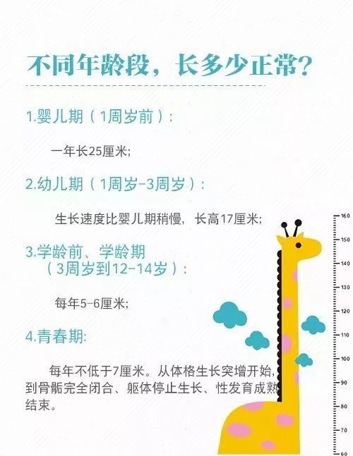 规划决定未来：把握黄金六年，提升孩子后劲，全面激发潜能