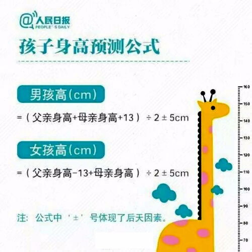 规划决定未来：把握黄金六年，提升孩子后劲，全面激发潜能