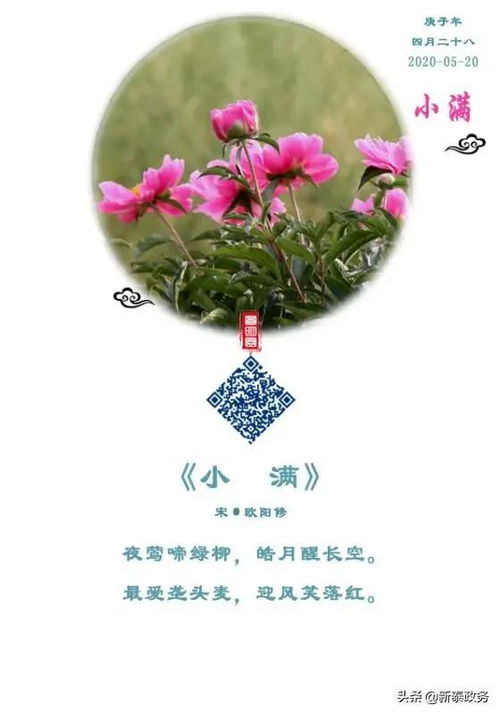 黑龙江小满雪纷飞：理解‘小满寒’与‘五月寒’的科学知识