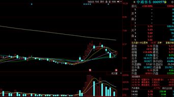 中通客车（000576）股票走势揭秘：聚焦精准预测的涨停疑云}