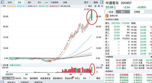 中通客车（000576）股票走势揭秘：聚焦精准预测的涨停疑云}