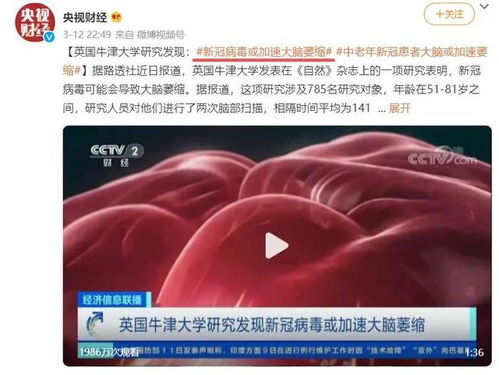 《自然》子刊揭秘：新冠康复者大脑微观结构重塑现象的深入探讨