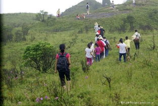 江西萍乡失温少女徒步登山悲剧：警方回应