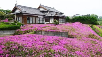 花海并非唯一，一笙一番话引泪目：AG实力的再度审视与重新定位