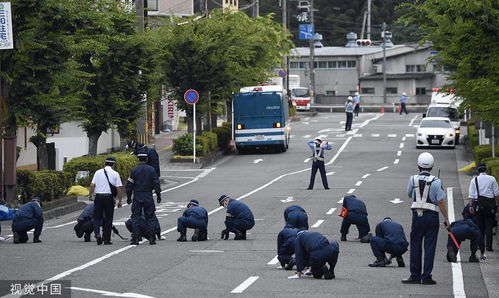 斯洛伐克总理街头遇刺：警方调查结果公布