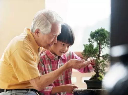 史上最‘累’的姥姥：生出三胞胎女儿，满足日常照顾需求！
三胞胎姐妹的诞生：看史上最‘累’的姥姥如何应对！”