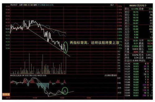 ‘神预言’引领股价：连续两天多家个股被揭秘，解析其背后的推手及上涨趋势