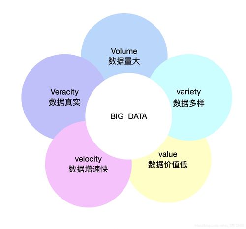 网站：面对大模型与向下竞底，如何平衡效率与价值?