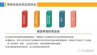 网站：面对大模型与向下竞底，如何平衡效率与价值?