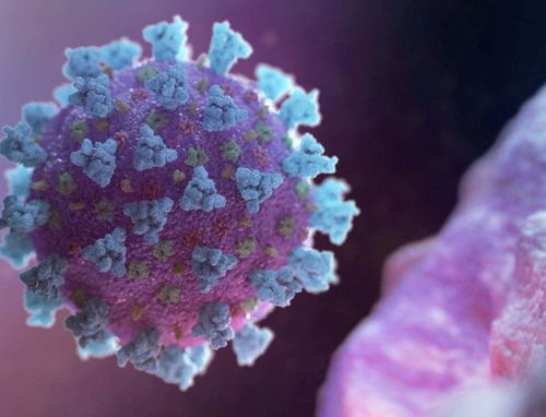 美国爆发新型新冠病毒变种，波士顿及时响应推出多套防控措施