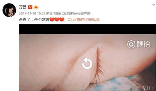 单亲妈妈张森（森林北）分享：温暖真实的人生历程，汪峰就是我最真实的依靠