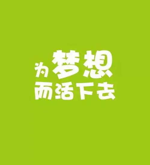 实现梦想路上，如何一步一个脚印稳步前进？——探析理想跌一大跟头的启示与应对策略