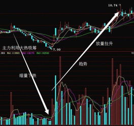 市场疯狂：短线投资者追捧超长期国债，首日涨幅25%