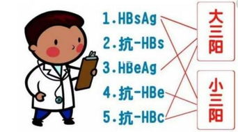 乙肝临床治愈时代的到来：转氨酶正常也需要抗病毒治疗吗？