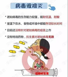 武汉一幼儿园孩子集体呕吐，初步判断为诺如病毒感染，当地政府：非食物中毒