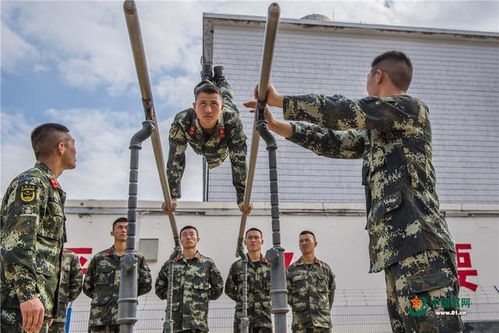 广西武警官兵在烈日下举行擒敌格斗训练，强化身心素质，展现钢铁意志