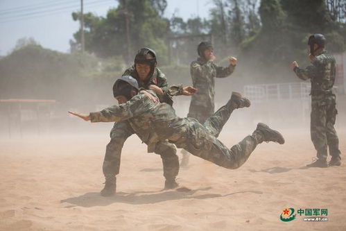 广西武警官兵在烈日下举行擒敌格斗训练，强化身心素质，展现钢铁意志