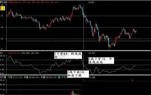 我是创业三次的数字奇才：从负债300万到成功逆袭的故事