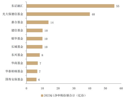 中金公司人事调整：涉及股票与固收两大业务板块的最新动态