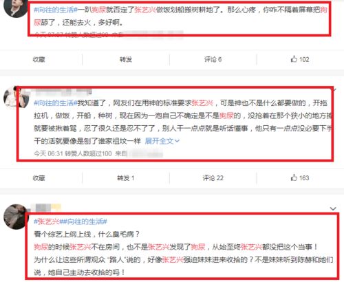 六旬豫剧名家深陷乞讨剧情引发争议，回应称沉浸式表演受到观众热烈反响