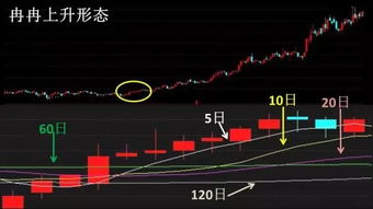 全球顶尖投资机构押注中国股市：连续四周增加增仓，价值洼地渐显活力!