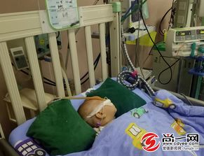 儿童高热、恶心呕吐：腺病毒感染，立即就医以免危害健康