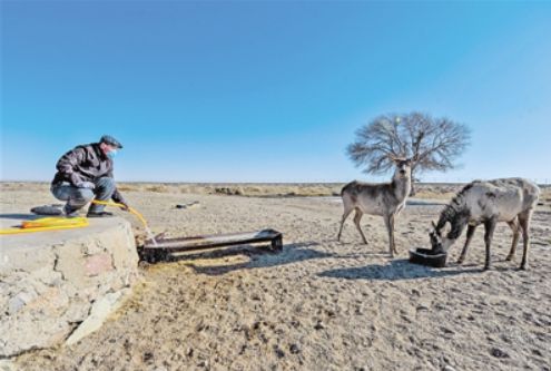 生物多样性丧失：对人类健康带来的严峻挑战