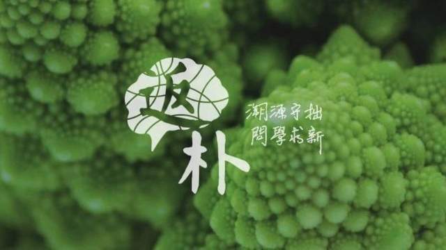 中国科学家揭示出‘读懂’花椰菜基因密码的神秘面纱