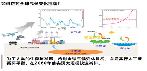 揭秘全球冰湖区域特征与气候变化规律，中国科研团队发布重要成果