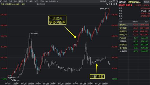 印度股市狂潮：海外投资者卖股，国内散户买盘造新高