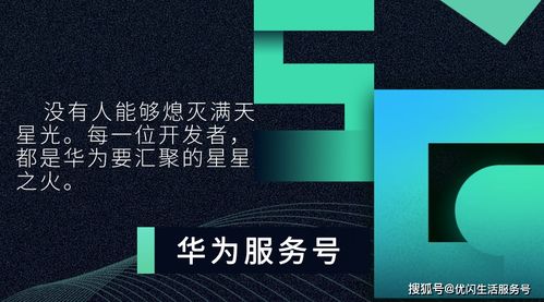 英伟达引领行业节奏：两年一代的转变，推动一脉相承的产品更新速度