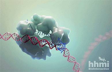 合成生物学新突破，海外企业面临灭顶之灾