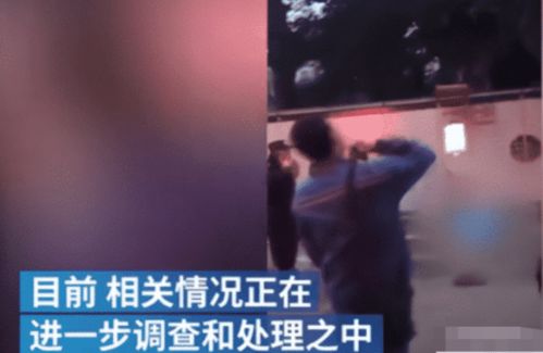 12岁女生离世：因突然昏倒，学校发布详细原因说明