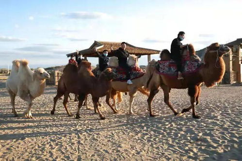 现代年轻人的旅游方式：从反向旅游到数字化体验