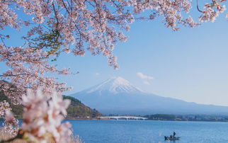 日本小镇借黑纱围栏遮挡，换上神秘的“伪装” - 为何富士山会变成这个样子？