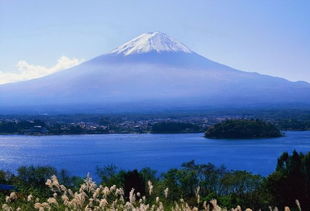 日本小镇借黑纱围栏遮挡，换上神秘的“伪装” - 为何富士山会变成这个样子？