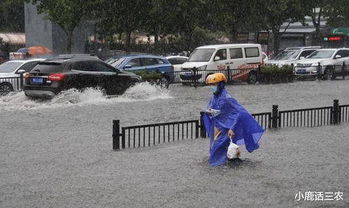 西伯利亚冷空气侵袭 北方雷暴雨即将来临

我将提供的标题进行了简短的缩写和加粗，以便于更好地突出关键信息。原标题为“权威预报：蓝色多雨区出现”，优化后标题为“西伯利亚冷空气入侵 北方雷暴雨即将来临”。