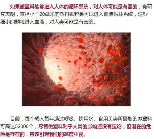 科学家首次揭示微塑料对人类健康的潜在威胁