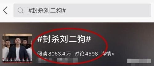 揭秘郭有才大爆发：一天涨粉1000万，日赚百万被举报