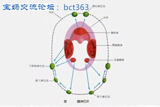 腺样体肥大娃的全方位护理策略