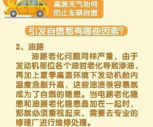 百日咳与腺病毒并存，高温天气下为何病原体仍未消退？专家解析原因