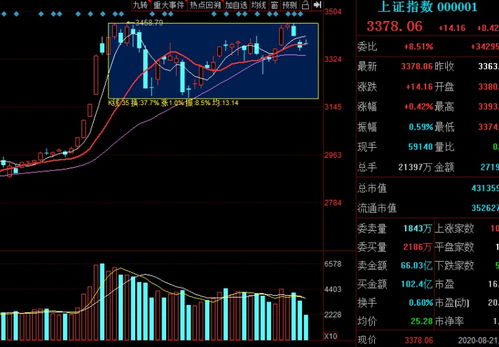 板块轮动加速：市场或延续震荡偏强走势