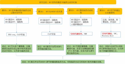 探索：仅需8周，您的新陈代谢水平就能明显改善！